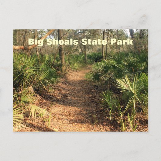 Hiking Trail, Big Shoals State Park Briefkaart (Voorkant)