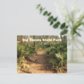 Hiking Trail, Big Shoals State Park Briefkaart (Staand voorkant)