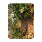 Hiking Trail, Big Shoals State Park Magneet (Verticaal)