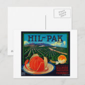 Hil Pak Oranje Label Lindsay, CA Briefkaart (Voorkant / Achterkant)