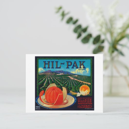 Hil Pak Oranje Label Lindsay, CA Briefkaart (Staand voorkant)