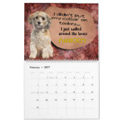 Hilarieuze gedachten over mijn Havanese kalender (Feb 2027)