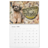 Hilarieuze gedachten over mijn Havanese kalender (Jan 2026)