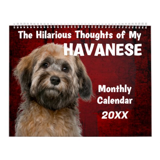 Hilarieuze gedachten over mijn Havanese kalender (Hoes)