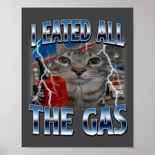 Hilarious Cat Eated Lover Cat Gas I All Silly Sayi Poster (Voorkant)