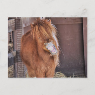 Hilarious Horsey Briefkaart