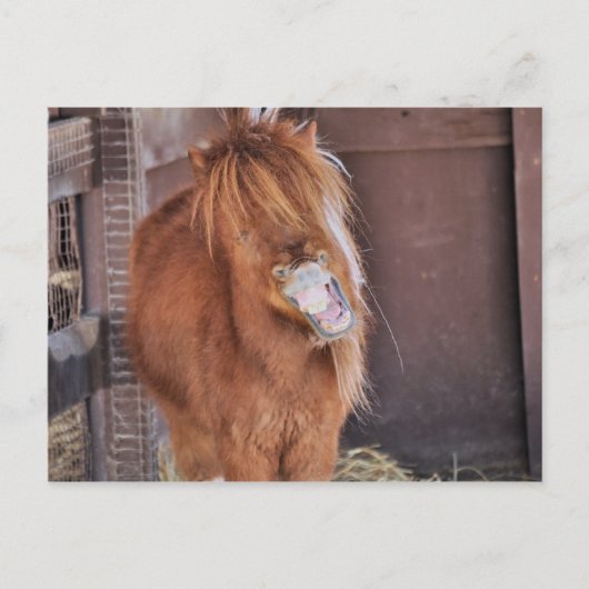 Hilarious Horsey Briefkaart (Voorkant)