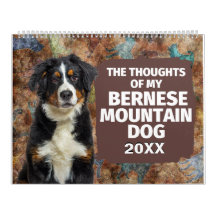 Hilarious Thoughts of My Bernese Mountain Dog