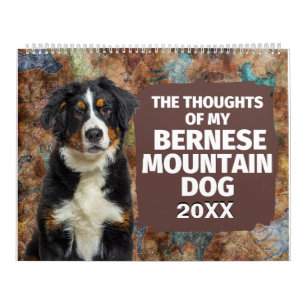 Hilarious Thoughts of My Bernese Mountain Dog Kalender