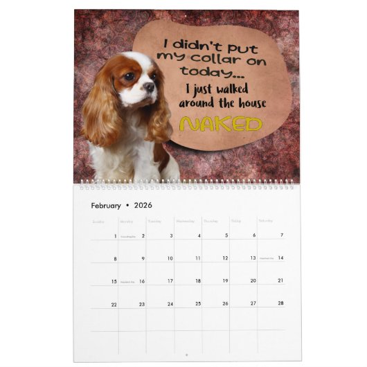 Hilarious Thoughts of My King Charles Cavalier Kalender (Feb 2026)