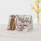 Hilarisch idee van je Labrador Birthday Kaart (Gele Bloem)