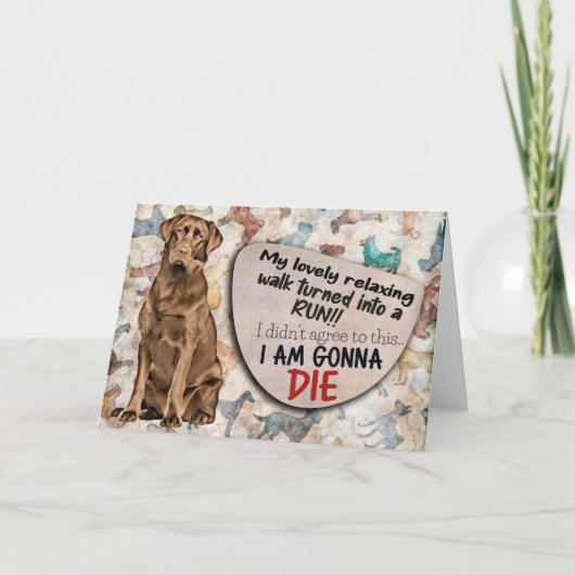 Hilarisch idee van je Labrador Birthday Kaart (Voorkant)