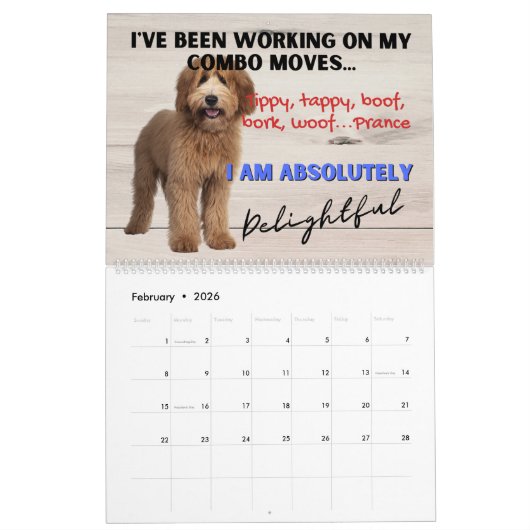 Hilarische gedachten over mijn labradoodle kalender (Feb 2026)