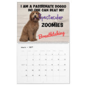 Hilarische gedachten over mijn labradoodle kalender (Mar 2027)