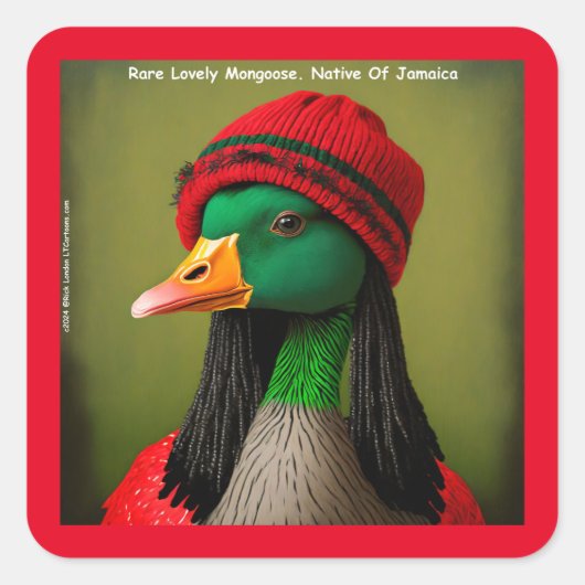 Hilarische Jamaicaanse Mongoose Canadese Reggae Go Vierkante Sticker (Voorkant)