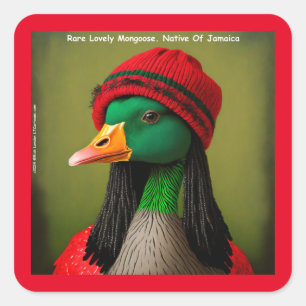 Hilarische Jamaicaanse Mongoose Canadese Reggae Go Vierkante Sticker