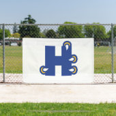 Hilbert College H Spandoek (Insitu)