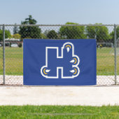 Hilbert College H Spandoek (Insitu)