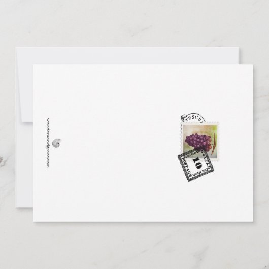 Hildegard van Bingen (Achterkant)