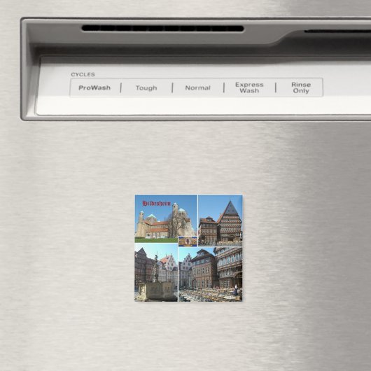 Hildesheim Magneet (Insitu (Vaatwasser))