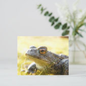 Hill End Toad Briefkaart (Staand voorkant)