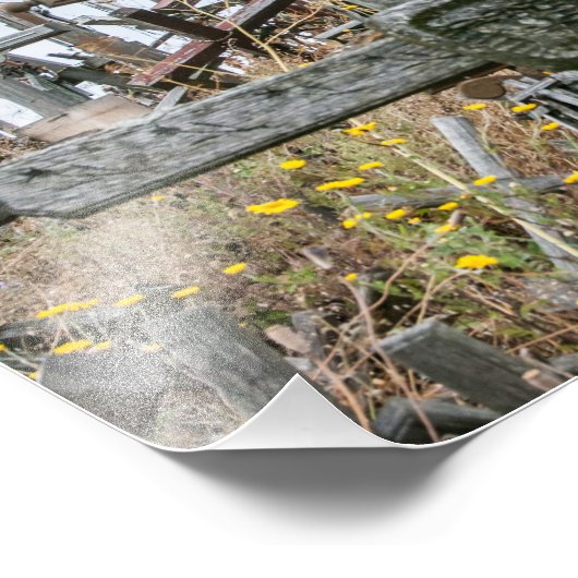 Hill of Crosses Foto Afdruk (Hoek)