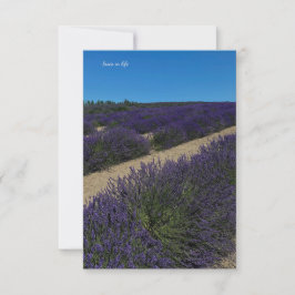Hill of Lavender Rows Notitiekaartje