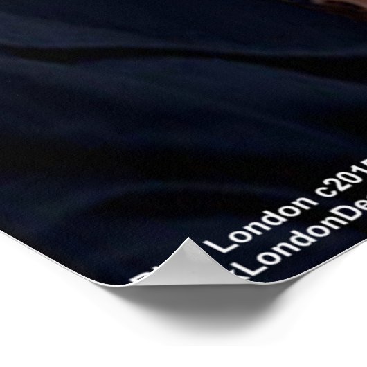 Hillary Clinton Women R Silent Poster (Hoek)