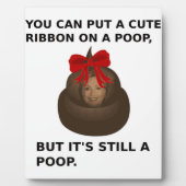 Hillary Poop Fotoplaat (Voorkant)