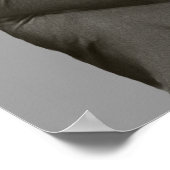 Hillary Shooter Poster (Hoek)