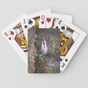 Hillcrest Duck Pokerkaarten