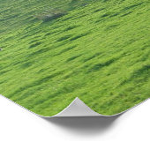 Hills op 227 poster (Hoek)