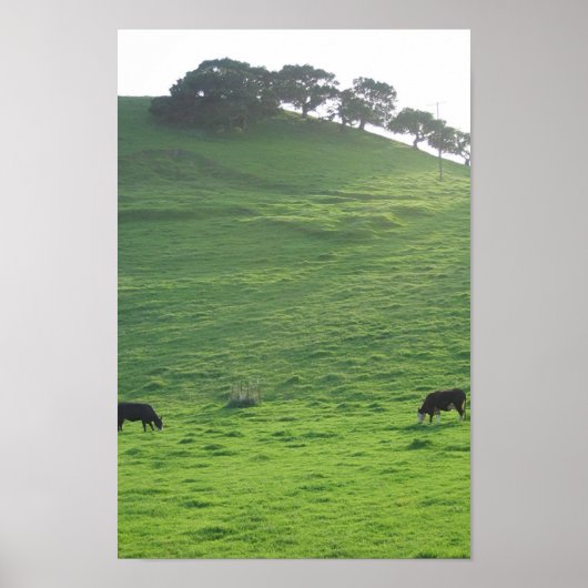 Hills op 227 poster (Voorkant)
