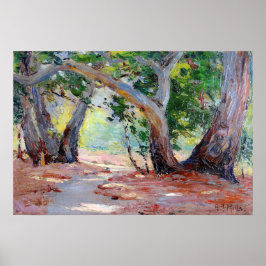 Hills - Sunshine Shadow Oranje County Park Poster