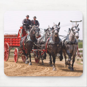 hillsboro ohio conceptpaard show muismat