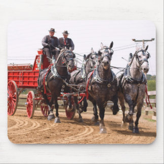 hillsboro ohio conceptpaard show muismat