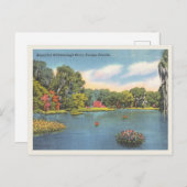 Hillsborough River Tampa Florida  scène Briefkaart (Voorkant / Achterkant)