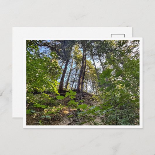 Hillside Briefkaart (Voorkant / Achterkant)