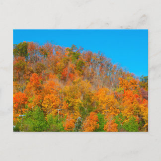 Hillside Herfst Kleuren, Zuid-Indiana Briefkaart