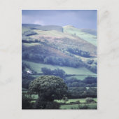 Hillside in Wales briefkaart UK (Voorkant)