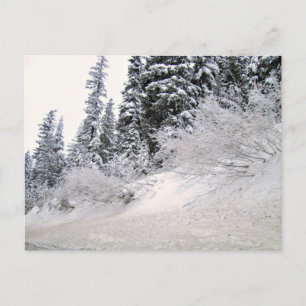 Hillside met pijnbomen bedekt met sneeuw briefkaart