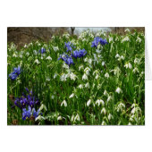 Hillside of Early Spring Flowers Landscape (Voorkant Horizontaal)