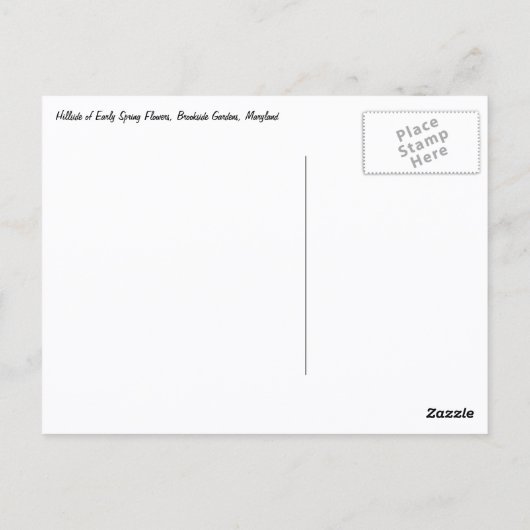 Hillside of Early Spring Flowers Landscape Briefkaart (Achterkant)