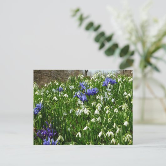 Hillside of Early Spring Flowers Landscape Briefkaart (Staand voorkant)