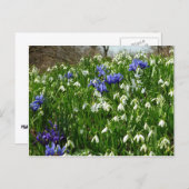 Hillside of Early Spring Flowers Landscape Briefkaart (Voorkant / Achterkant)