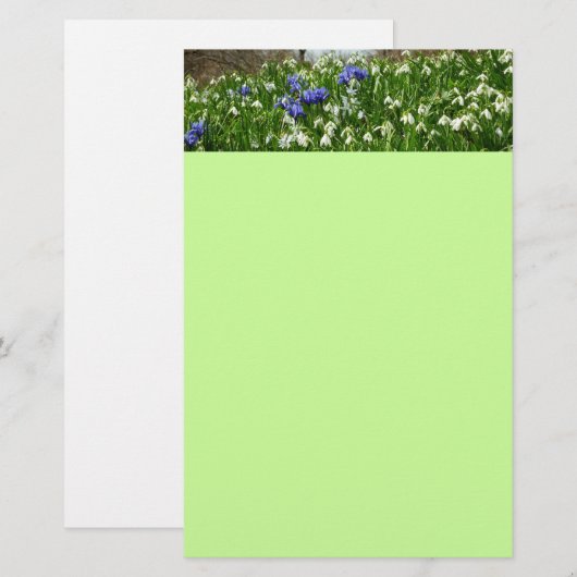 Hillside of Early Spring Flowers Landscape Briefpapier (Voorkant / Achterkant)