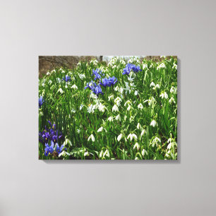 Hillside of Early Spring Flowers Landscape Canvas Afdruk