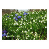 Hillside of Early Spring Flowers Landscape Foto Afdruk (Voorkant)