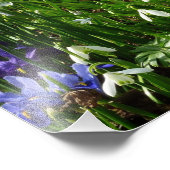 Hillside of Early Spring Flowers Landscape Foto Afdruk (Hoek)