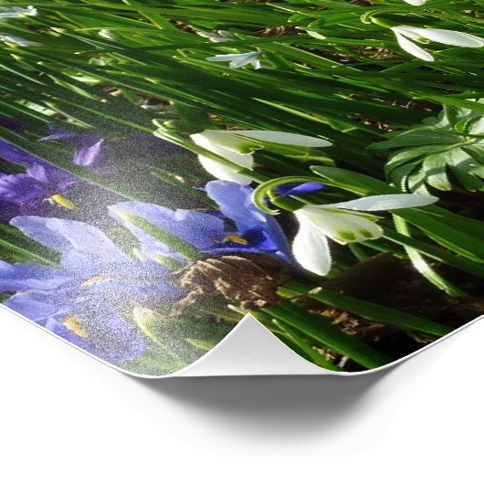 Hillside of Early Spring Flowers Landscape Foto Afdruk (Hoek)